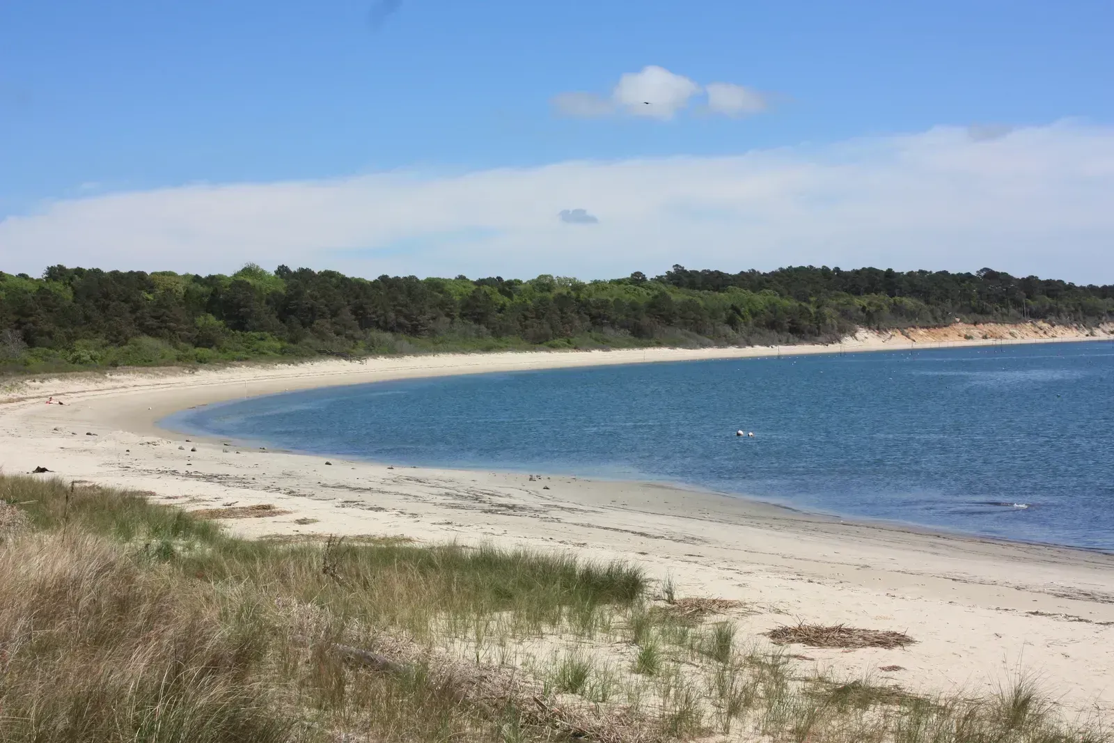 11. Virginia Beach, Virginia: Coastal Living With Serious Healthcare Credentials (By vastateparksstaff, CC BY 2.0)