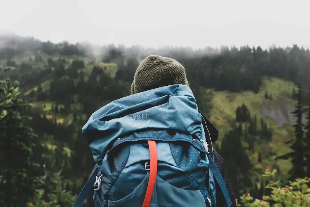 What a Real-World Budget Trip Costs Over a Full Year (Image Credits: Unsplash)