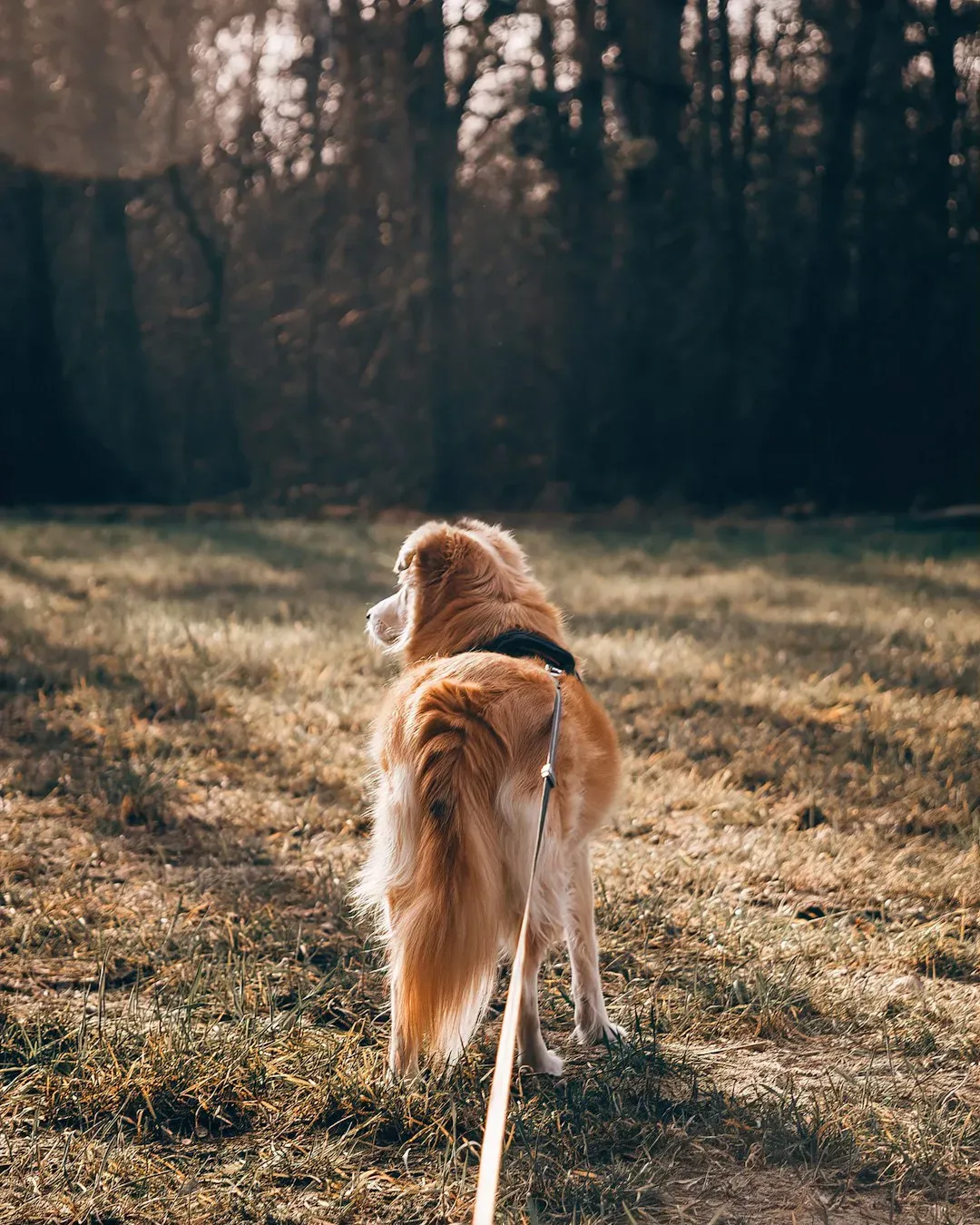 Why Age Alone Isn't a Reason to Stop (Image Credits: Unsplash)