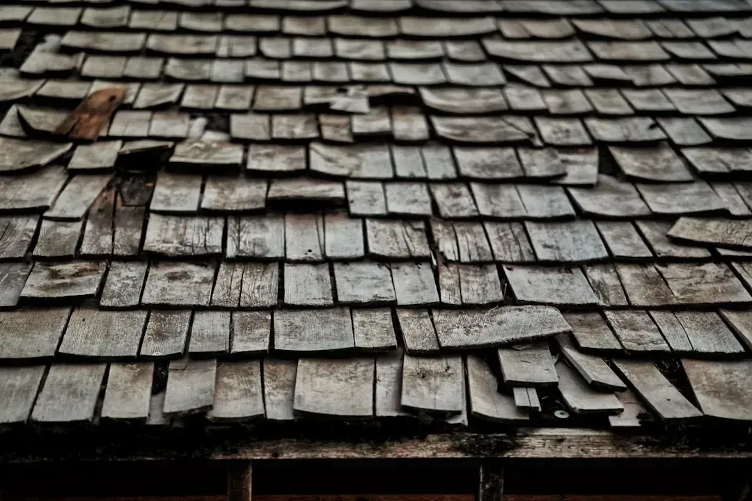 1. Roofing damage and aging shingles (Image Credits: Unsplash)