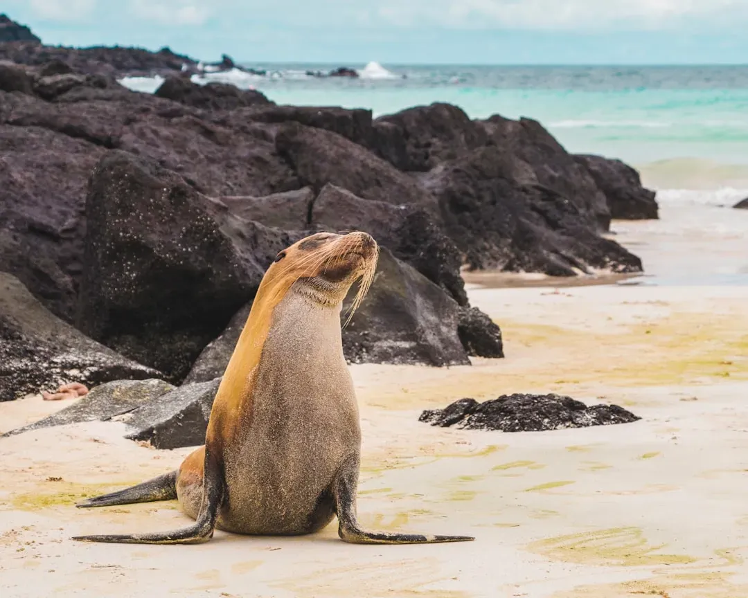 2. The Galápagos Islands, Ecuador - Paradise Priced and Pressured (Image Credits: Unsplash)