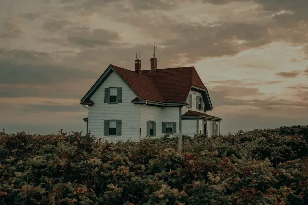 9. Oversized Housing (Image Credits: Unsplash)