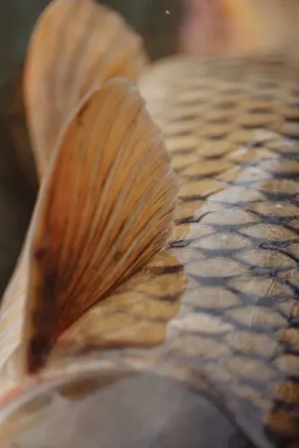 5. Dull, Dry, or Flaking Skin and Loose Scales (Image Credits: Pexels)