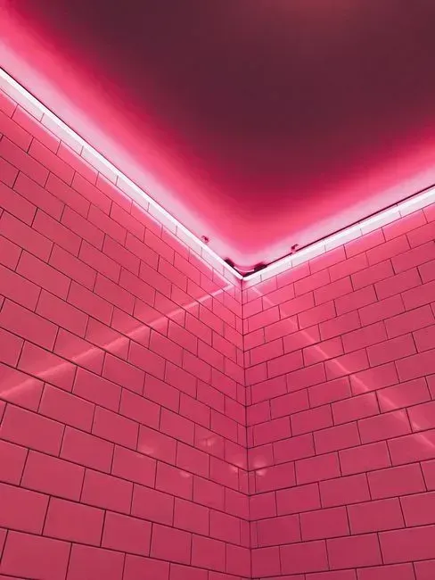 3. Bold Pink (Image Credits: Pexels)