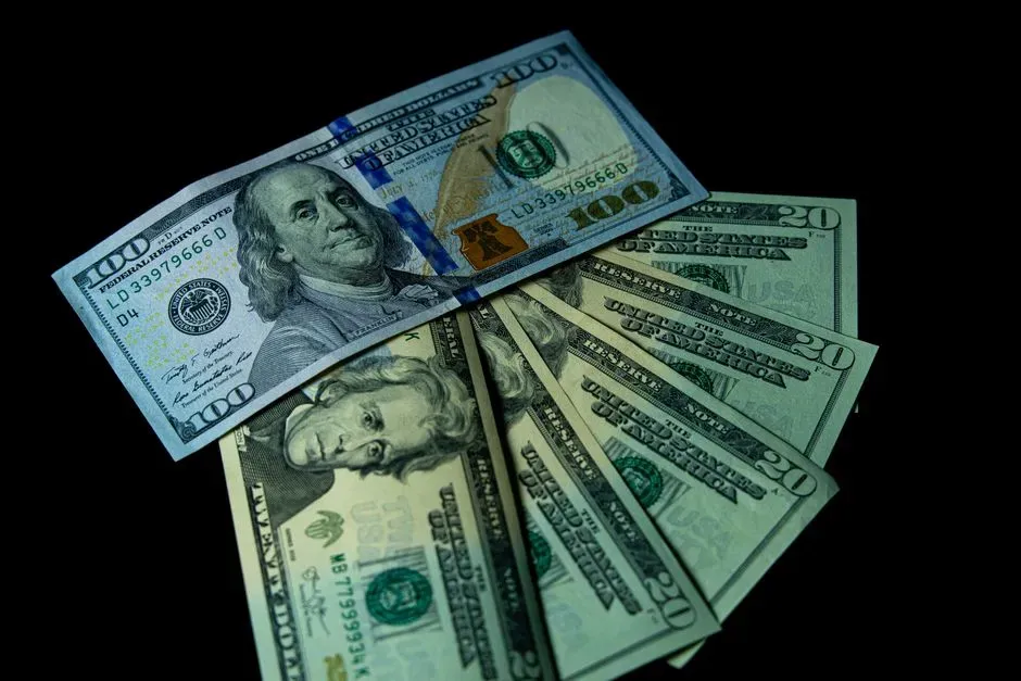 No Currency Risk: The Dollar Advantage (Image Credits: Pexels)