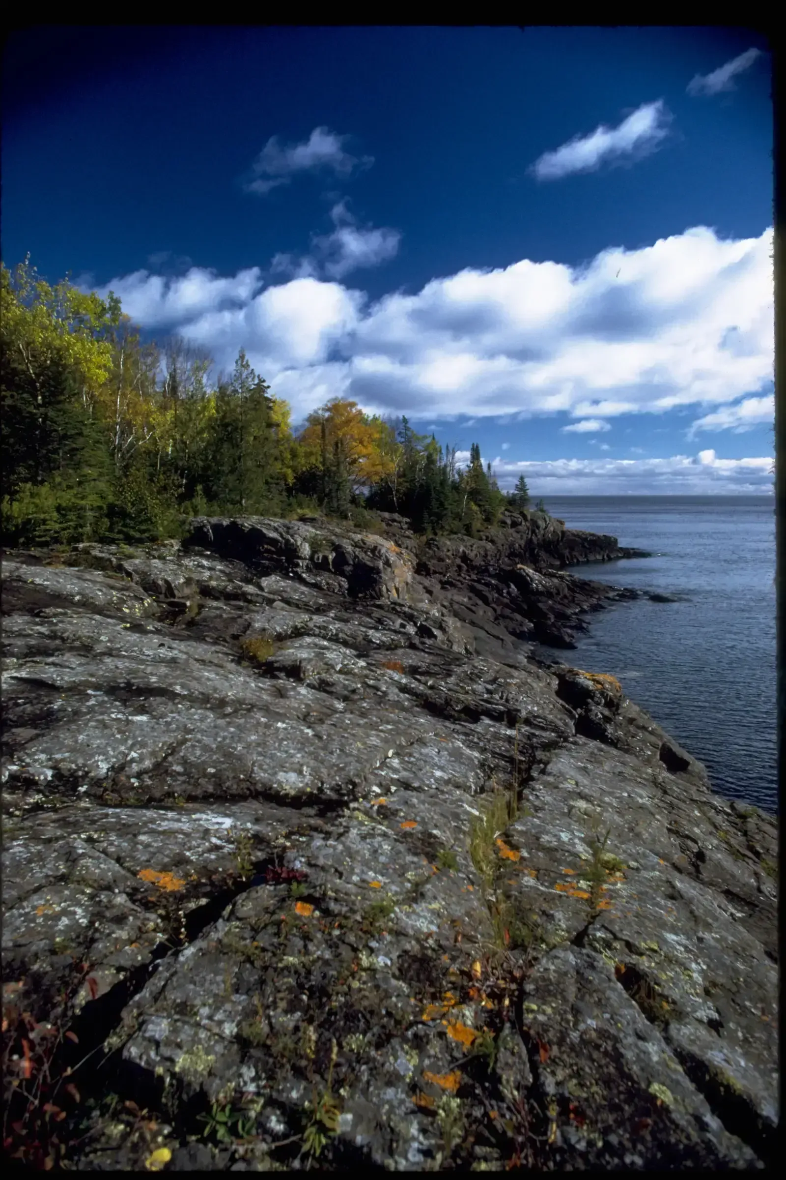 6. Isle Royale National Park, Michigan - Island Isolation at Its Most Extreme (By National Park Service Digital Image Archives, Public domain)