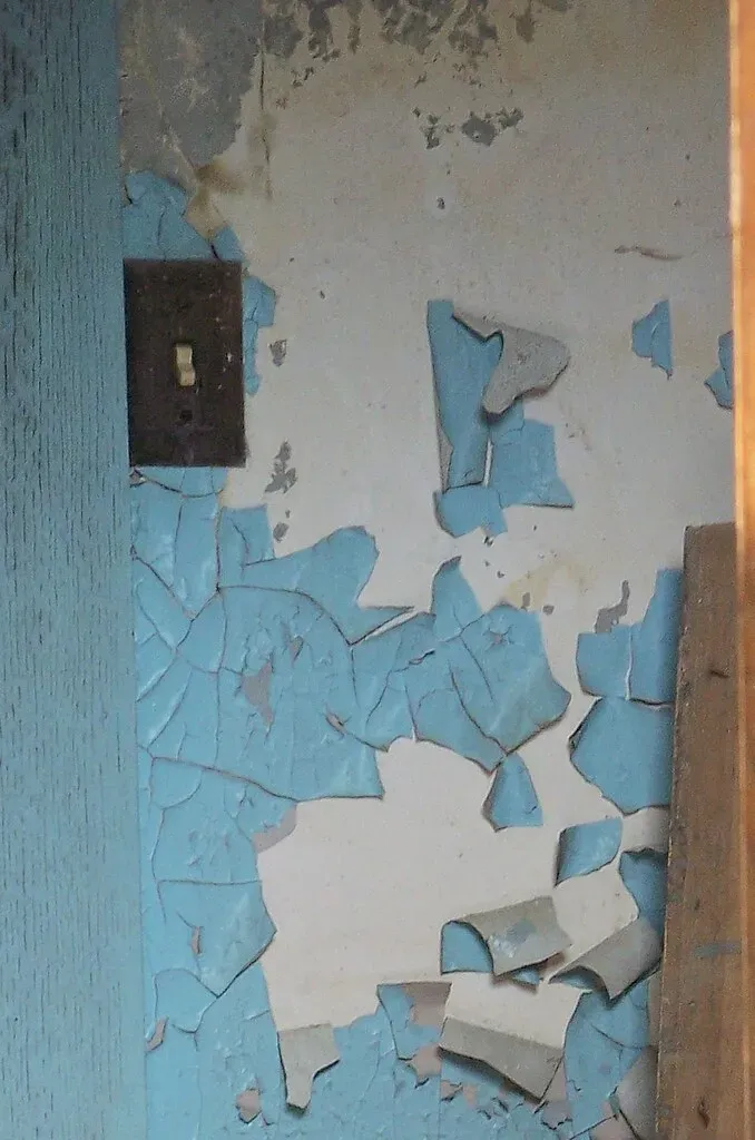 4. Lead Paint on Every Wall (Jo Naylor, Flickr, CC BY 2.0)