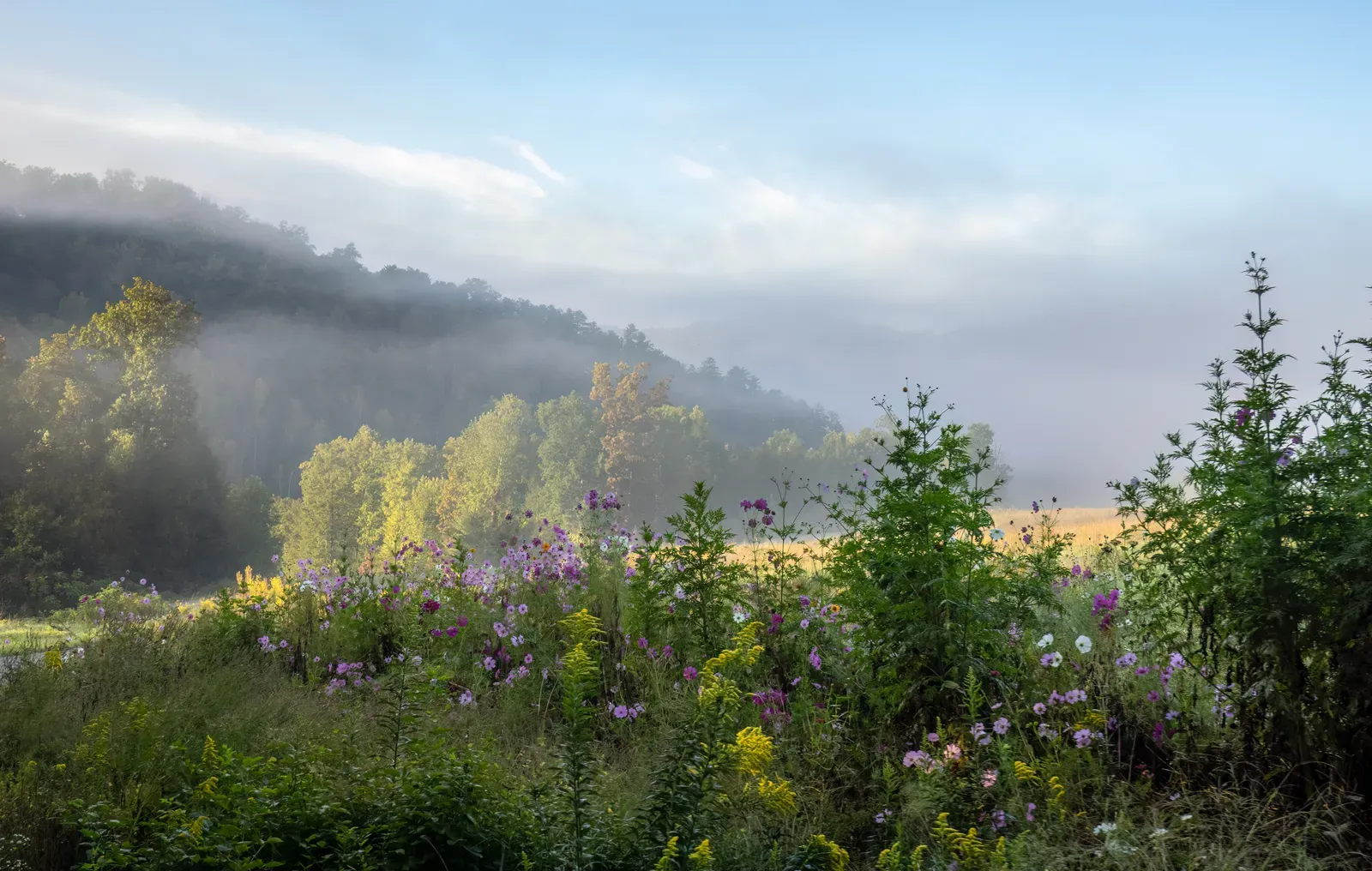 1. Great Smoky Mountains National Park (By Rhododendrites, CC BY-SA 4.0)