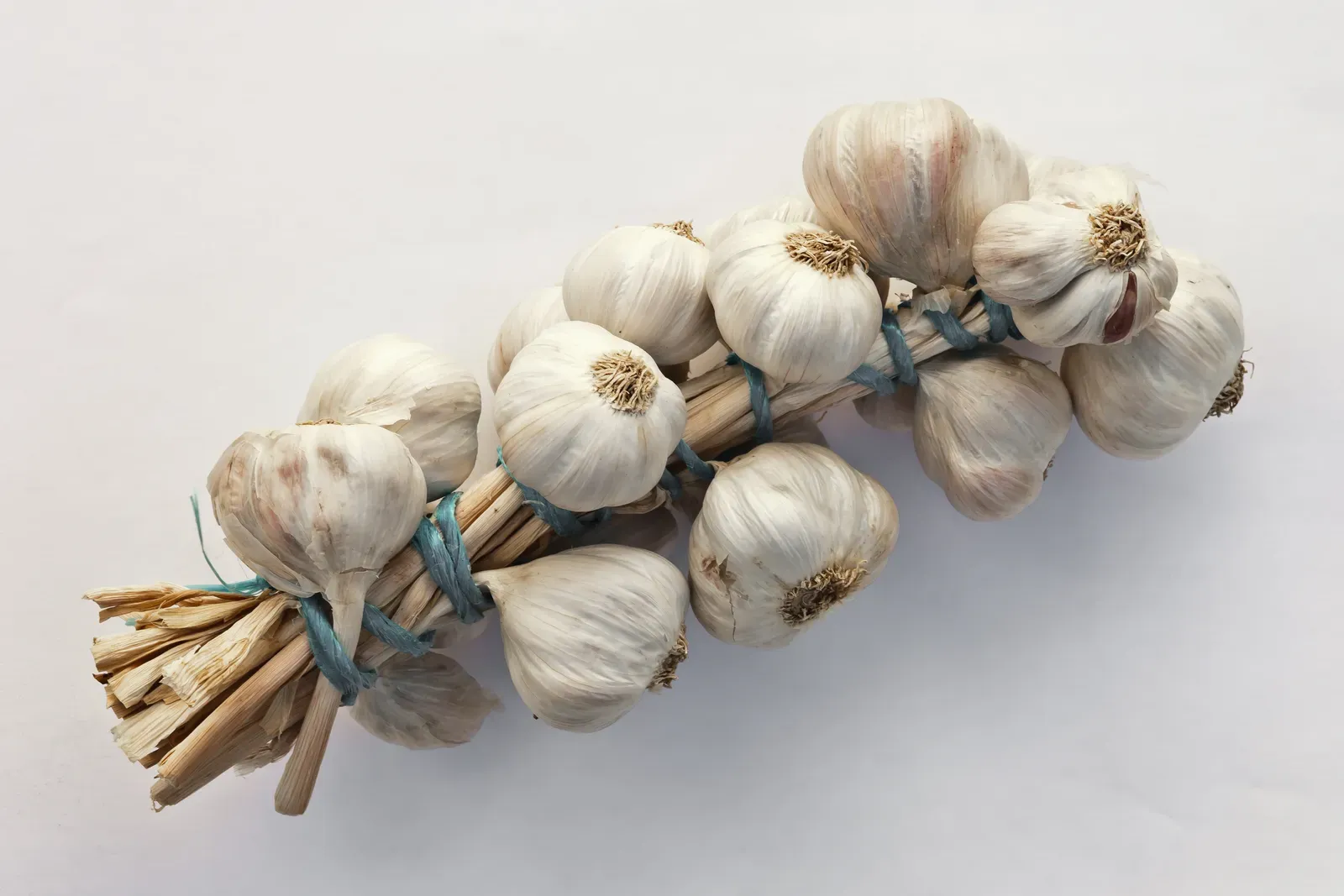 7. Garlic (By Luis Miguel Bugallo Sánchez (Lmbuga), CC BY-SA 3.0)