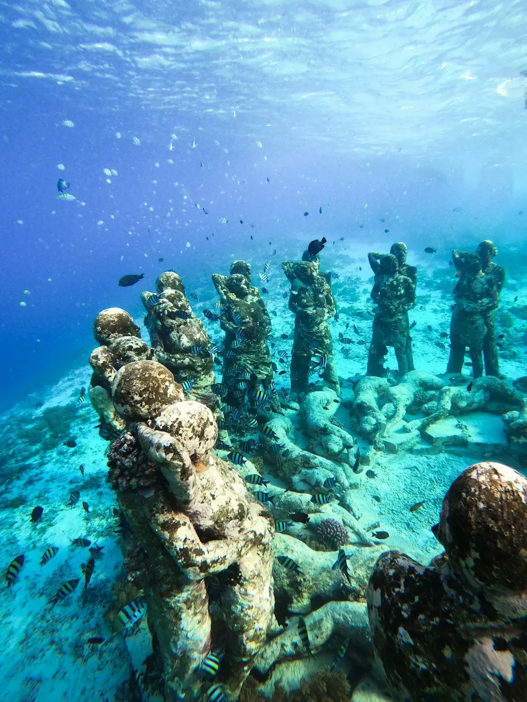 2. Caligula Declared War on the Ocean and Collected Seashells as Trophies (Image Credits: Unsplash)