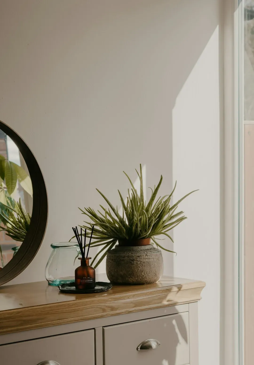 7. The Presence or Absence of Plants (Image Credits: Unsplash)