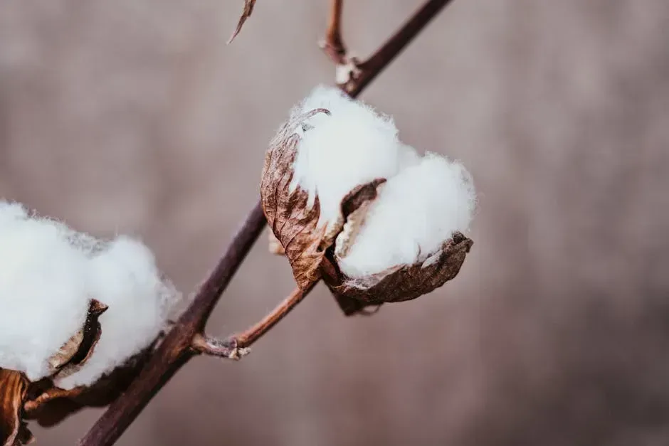 10. Organic Cotton and Natural Textiles (Image Credits: Pexels)