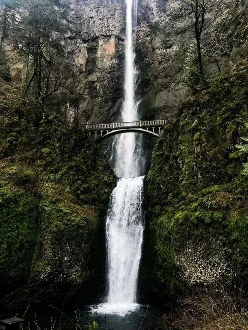 8. Historic Columbia River Highway, Oregon (Image Credits: Pexels)