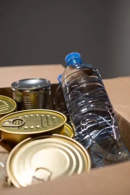 2. An Emergency Supply Kit (Image Credits: Pexels)