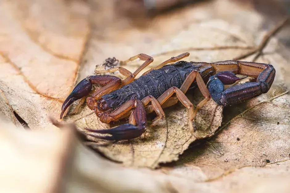 4. Scorpions, Rattlesnakes, and the Wildlife You Never Googled (Image Credits: Pexels)