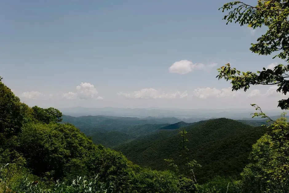 3. Asheville, North Carolina: Four Seasons, Mountain Beauty, Creative Energy (Image Credits: Pexels)