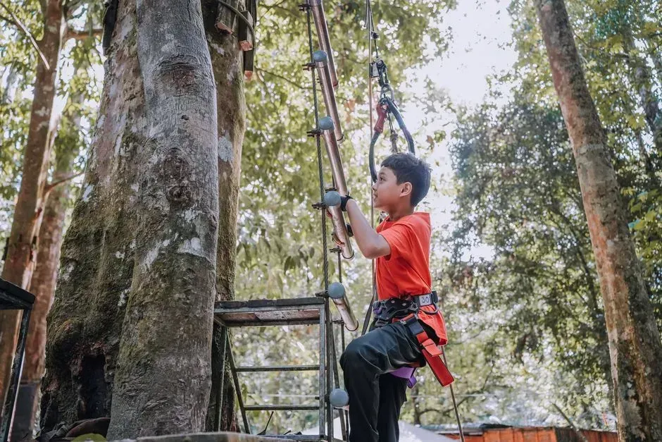 8. Climbing Trees and Roofs With No Safety Gear (Image Credits: Pexels)