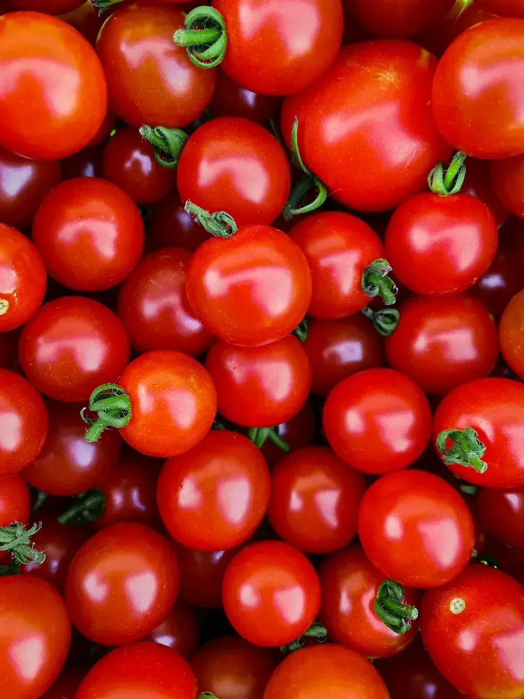 2. Refrigerating tomatoes right after buying them (Image Credits: Unsplash)