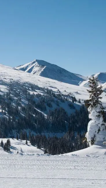 6. Colorado: Active, Healthy, and Economically Resilient (Image Credits: Pexels)