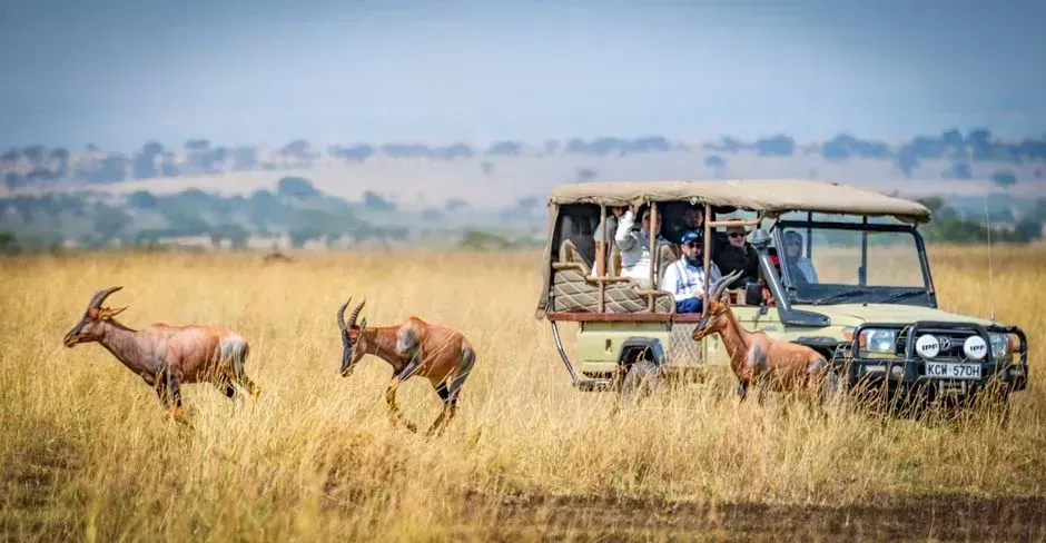 Kenya: Safari Country With Border Zone Warnings (Image Credits: Pexels)