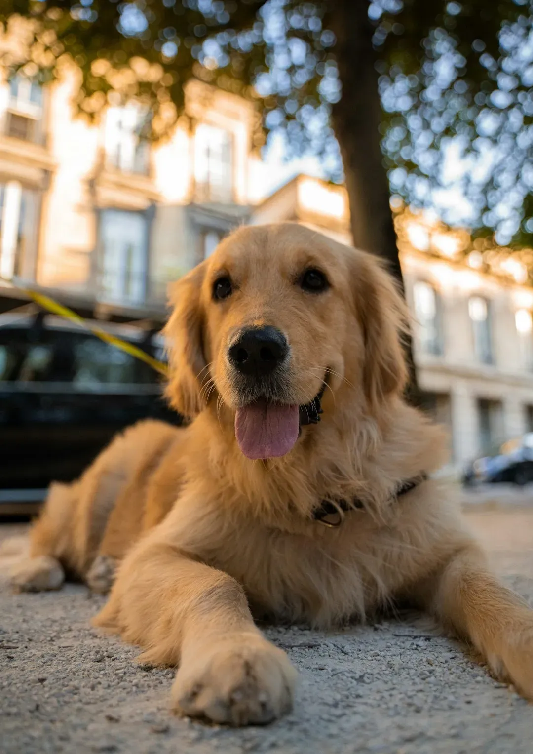 Why Old Names Are the New Cool (Image Credits: Unsplash)