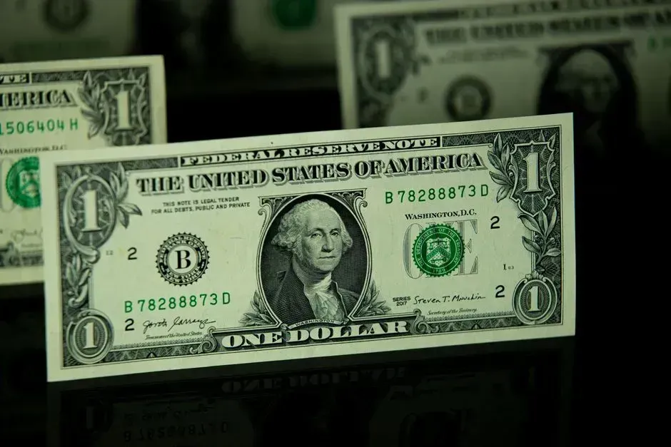 Living on Dollars Instead of Exchange Rates (Image Credits: Pexels)