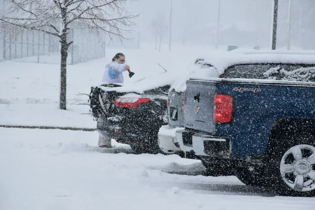 3. Treating a foot of snow as a normal Tuesday (Image Credits: Unsplash)