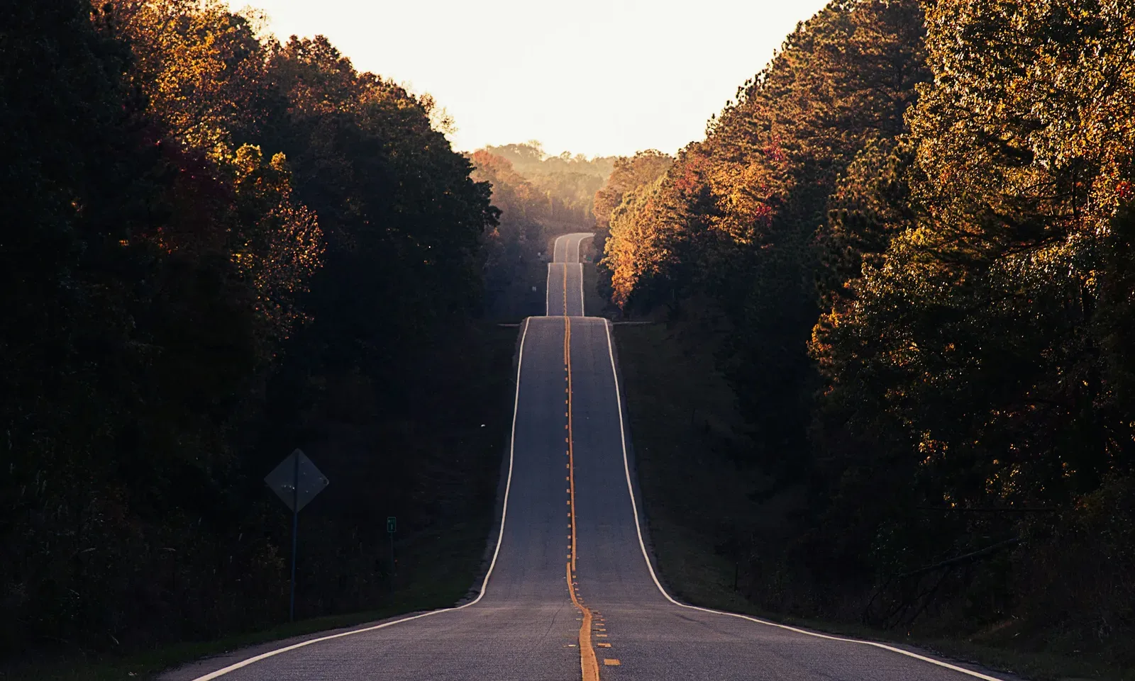 Where Do You See Us Five Years From Now? (Image Credits: Unsplash)