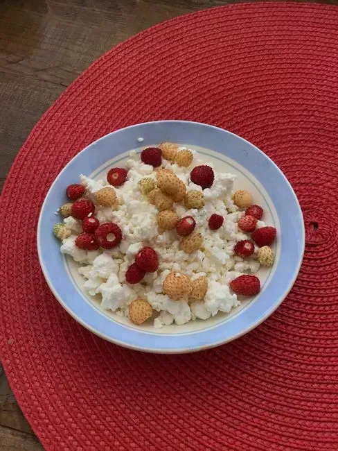 Cottage cheese with berries (Image Credits: Pexels)