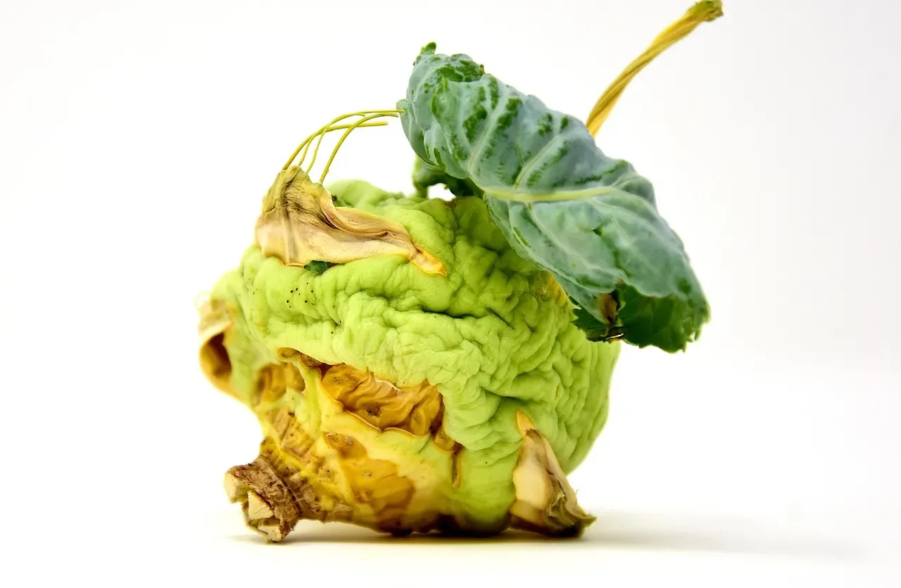 5. Wilting Vegetables (Image Credits: Pixabay)
