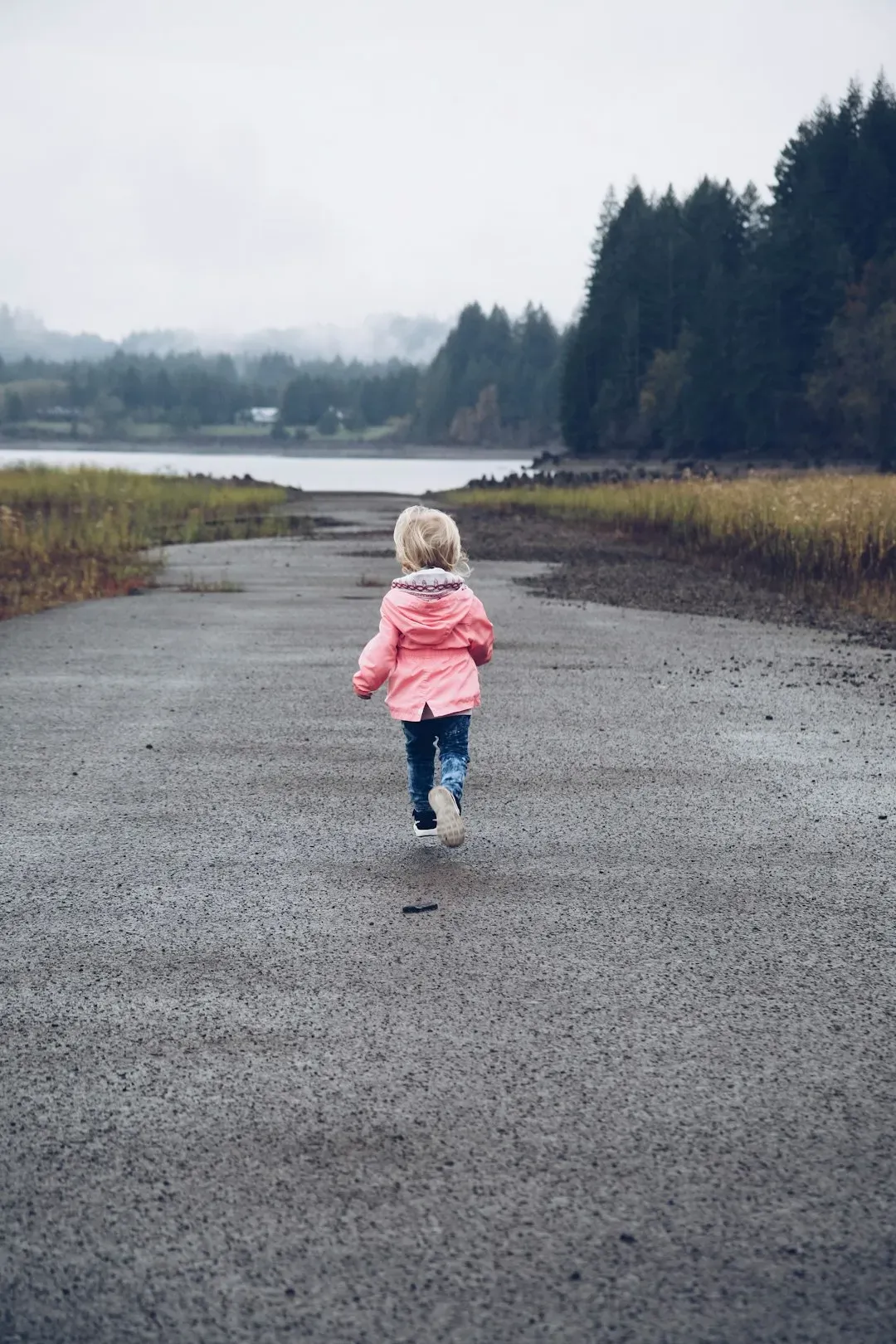 7. Complete Freedom with No Way to Reach Them (Image Credits: Unsplash)