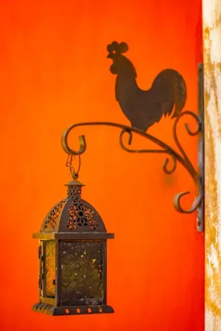 6. Bold Orange (Image Credits: Pexels)