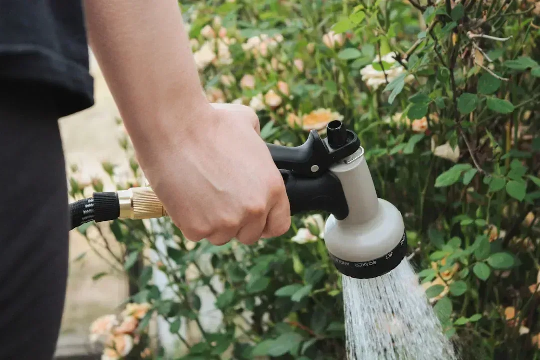 3. Shallow, Frequent Watering That Weakens Roots (Image Credits: Unsplash)