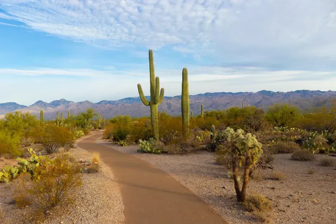 5. Tucson, Arizona: Desert Beauty, Dry Air, and Genuine Affordability (Image Credits: Unsplash)