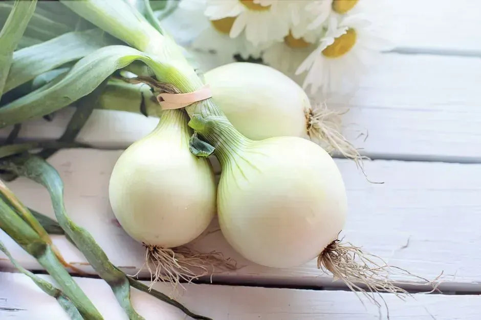 5. Creamed pearl onions (Image Credits: Pexels)