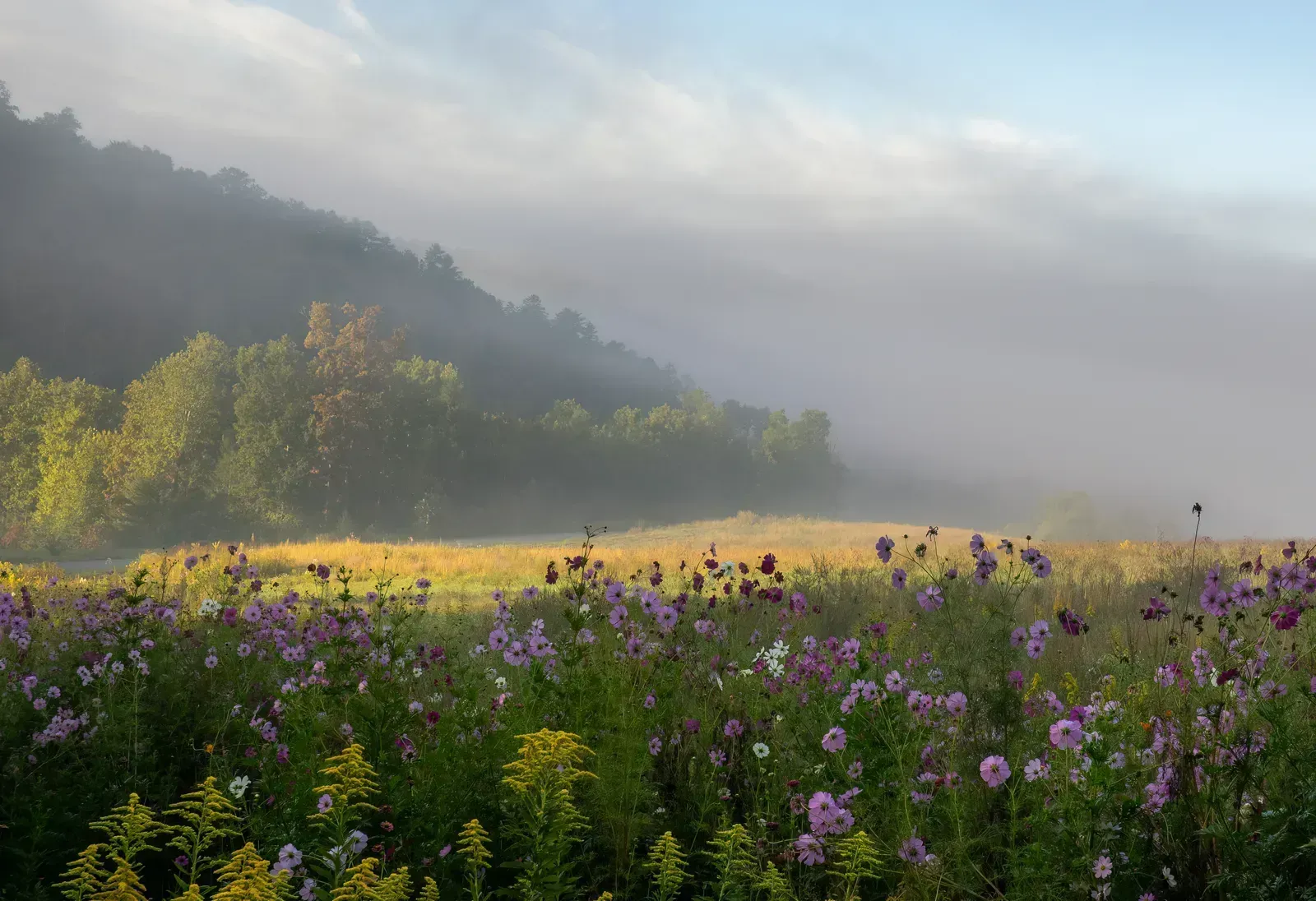 1. Great Smoky Mountains National Park, Tennessee and North Carolina (By Rhododendrites, CC BY-SA 4.0)