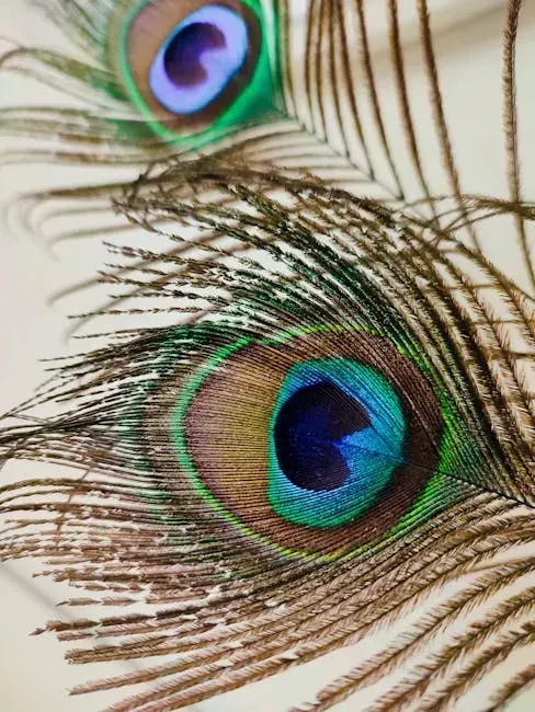 7. Peacock Feathers (Image Credits: Pexels)