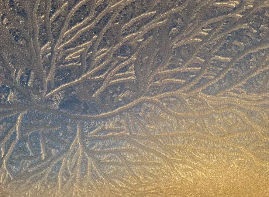 8. Frosted or textured glass in doors and windows (Image Credits: Pexels)