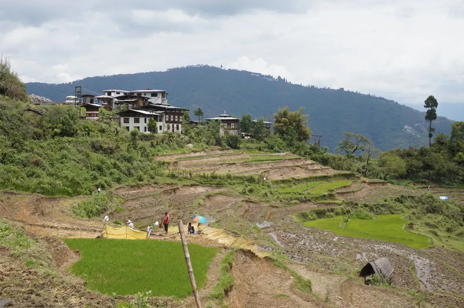 Bhutan: The Himalayan kingdom that measures happiness, not headlines (By Bernard Gagnon, CC BY-SA 4.0)