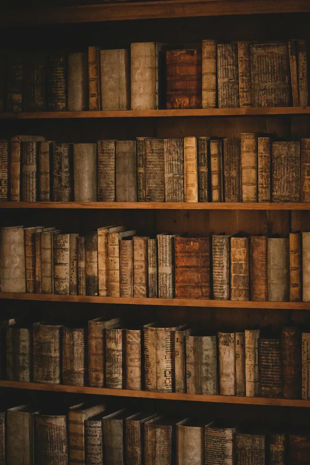 The Return of the Soldier by Rebecca West (1918) - A Slim Novella With an Enormous Heart (Image Credits: Unsplash)