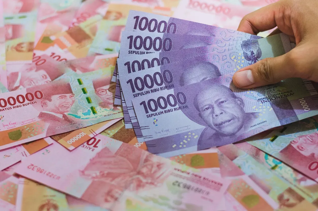 5. "The 50/30/20 Budget Rule Works for Everyone" (Image Credits: Pixabay)