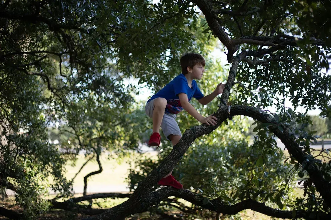 Physical Risk-Taking and Body Awareness (Image Credits: Unsplash)