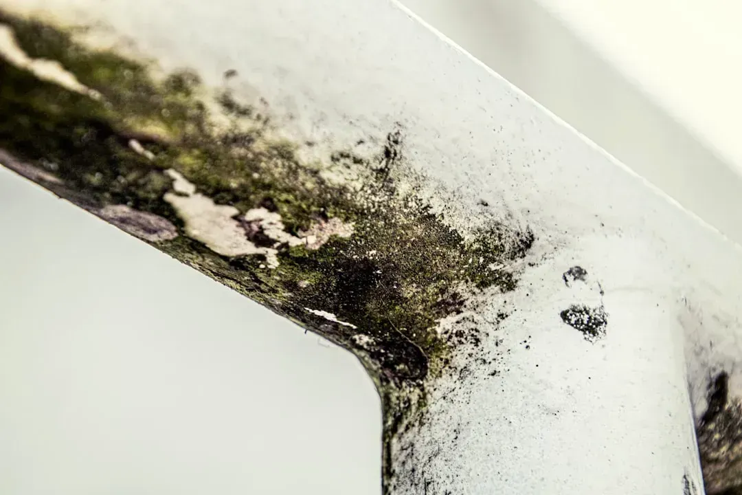 1. The smell the second you walk in (Image Credits: Unsplash)