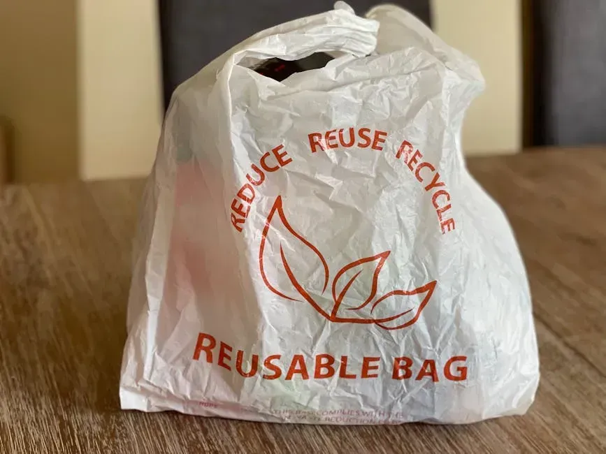 5. Single-Use Plastic Bags (Image Credits: Pexels)
