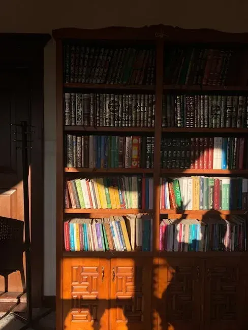 9. The Shadow of the Wind by Carlos Ruiz Zafón (2001) (Image Credits: Pexels)