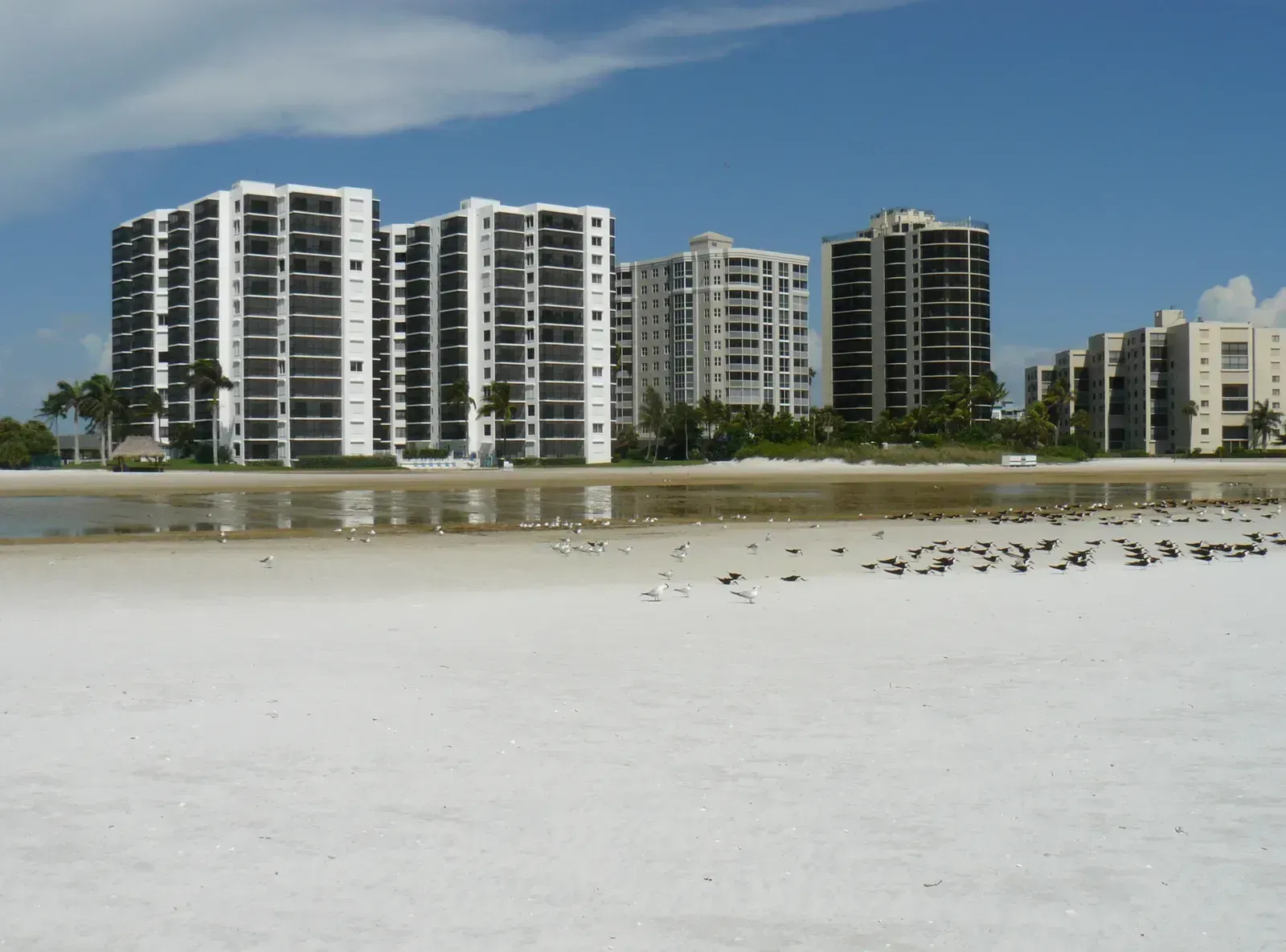 Fort Myers, Florida (By qwesy qwesy, CC BY 3.0)
