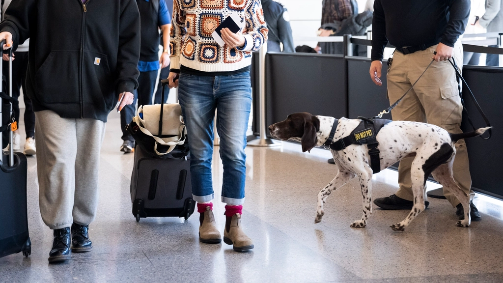 Research Your Destination's Security Landscape (image credits: rawpixel)