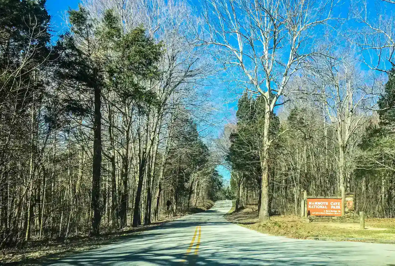 Mammoth Cave National Park, Kentucky (Image Credits: Wikimedia)