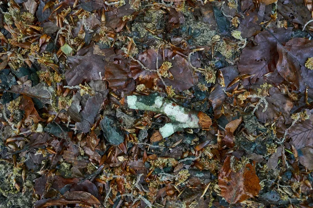 7. "Wishful Composting" - Adding Things That Don't Actually Compost (Image Credits: Unsplash)