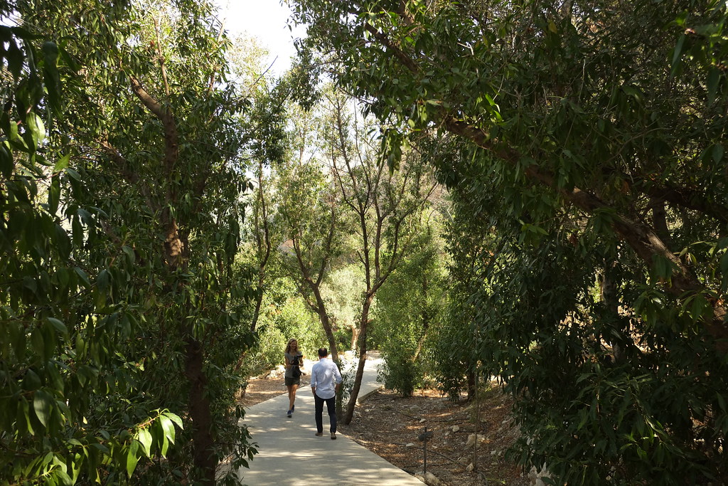 Creating Boundaries Between Digital Life and Natural Spaces (image credits: flickr)
